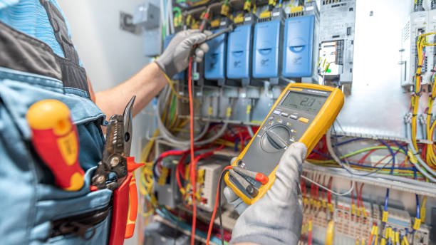 Best Electric Panel Repair  in Interlachen, FL
